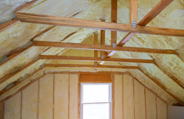 Best Insulation Installation Services in Redby, MN